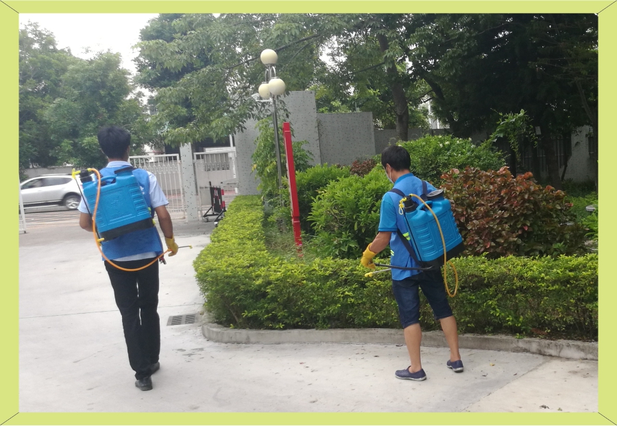 20190814登革熱防治-4.jpg