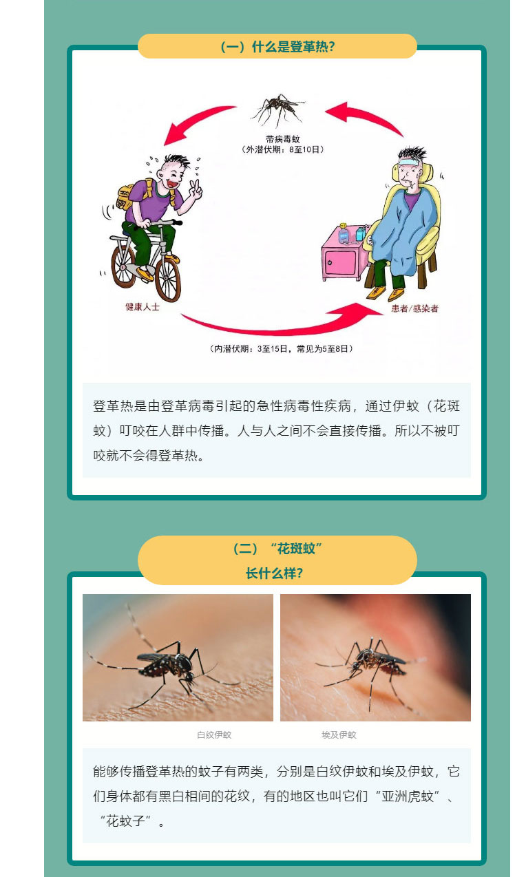 出游需防蚊，遠離登革熱_05_02.jpg
